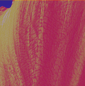 Image-3