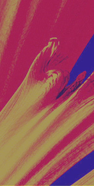 Image-1